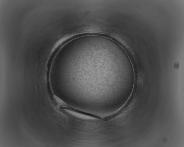 X0000096641222200802121102