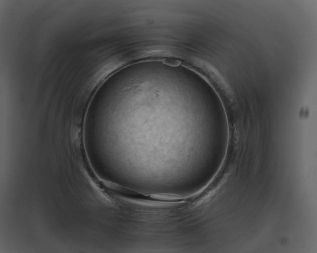 X0000096641225200802121102