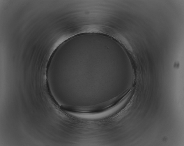 X0000096641226200802121102