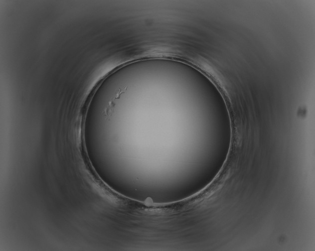 X0000096641227200802121102