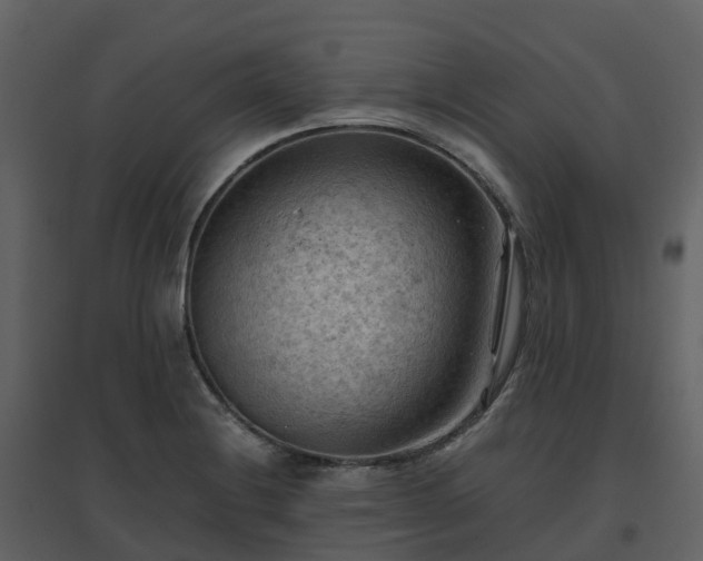X0000096641228200802121102