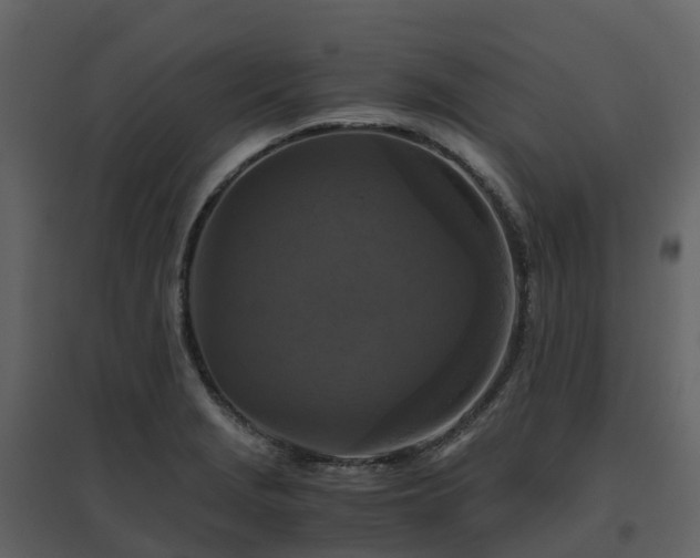 X0000096641229200802121102
