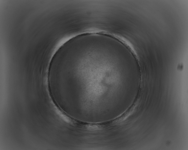 X0000096641231200802121102