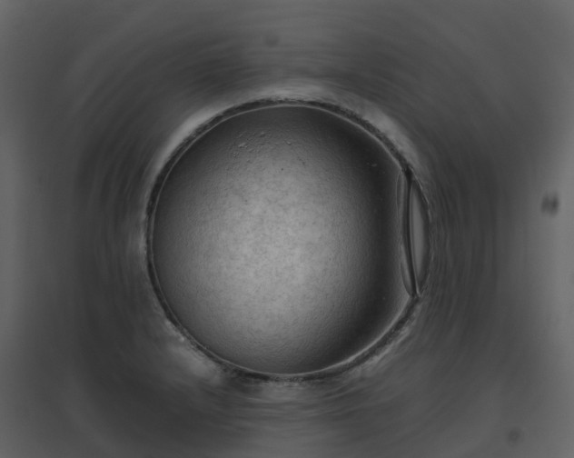 X0000096641232200802121102