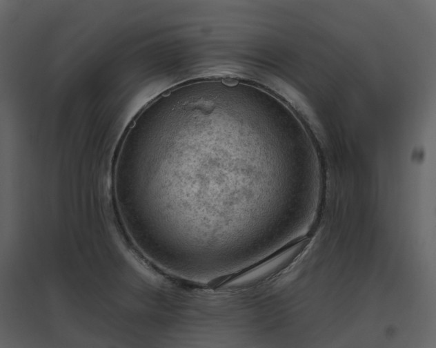X0000096641234200802121102