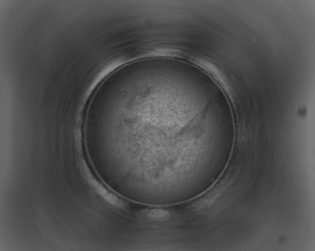 X0000096641235200802121102