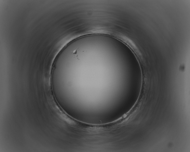 X0000096641236200802121102