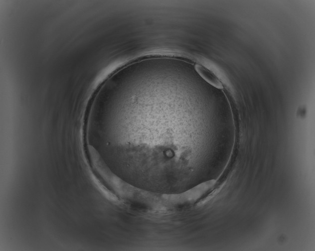 X0000096641237200802121102