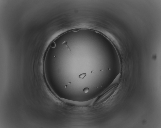 X0000096641238200802121102