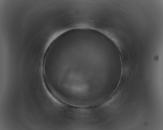 X0000096641239200802121102