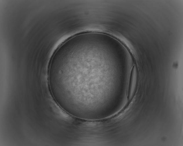 X0000096641240200802121102