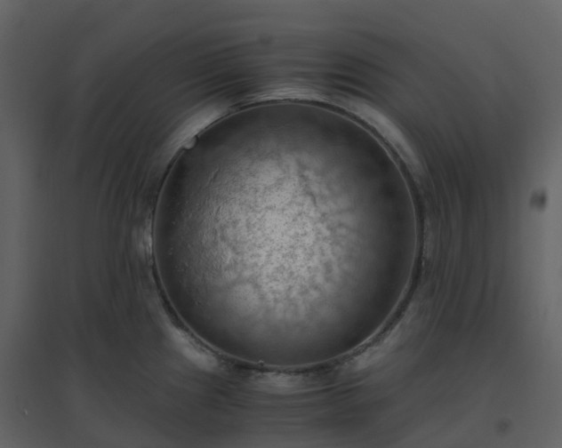 X0000096641241200802121102