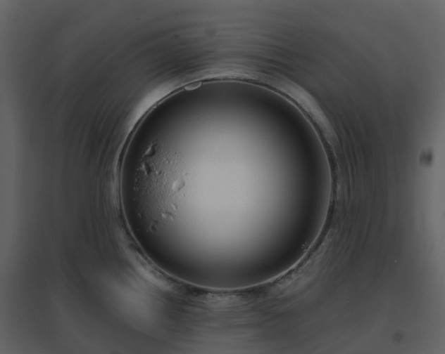 X0000096641242200802121102