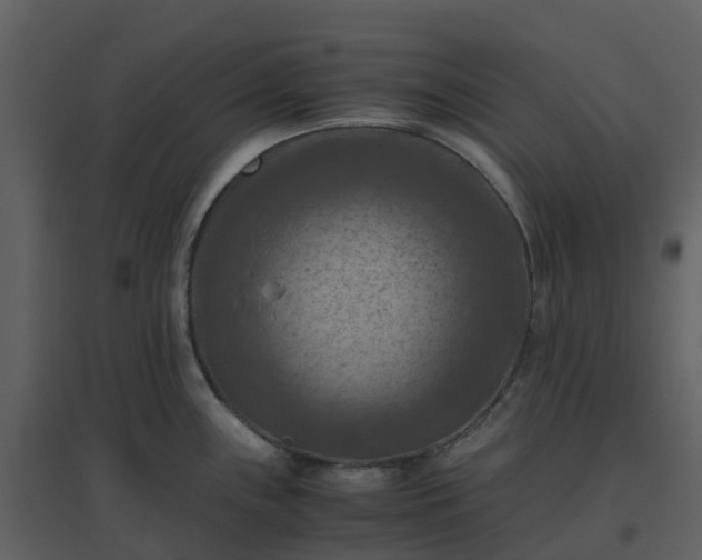 X0000096641243200802121102