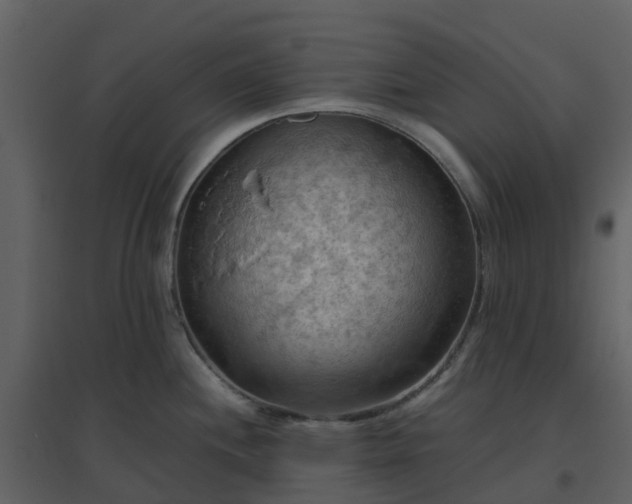 X0000096641244200802121102