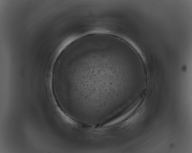 X0000096641245200802121102