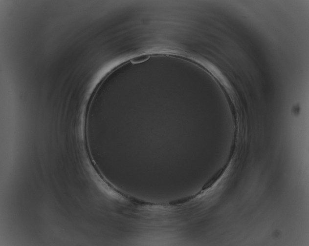 X0000096641246200802121102