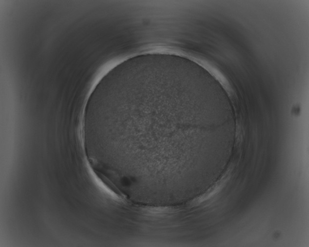 X0000096641247200802121102
