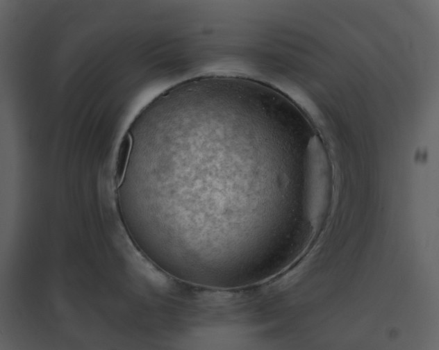 X0000096641248200802121102