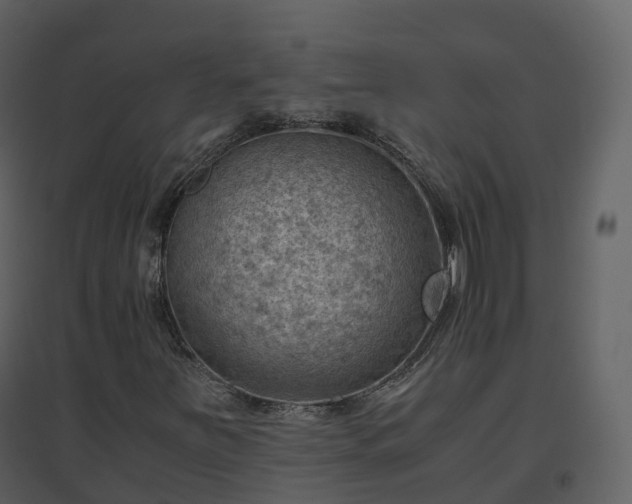 X0000096641251200802121102