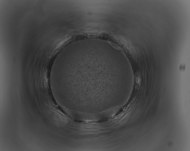 X0000096641252200802121102