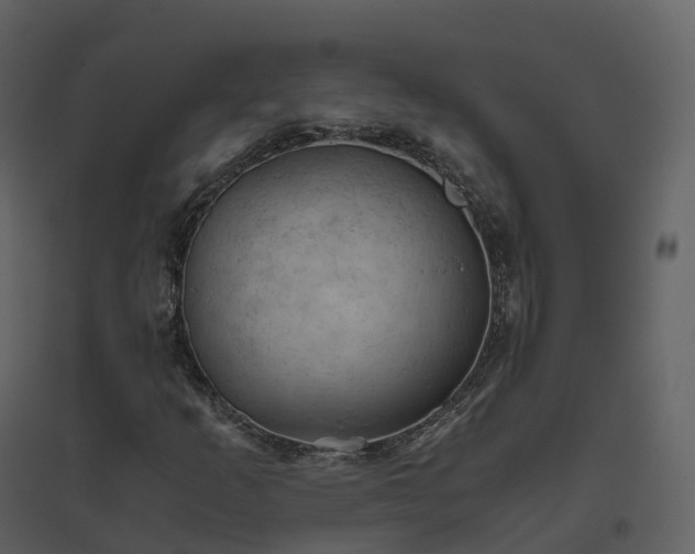 X0000096641253200802121102