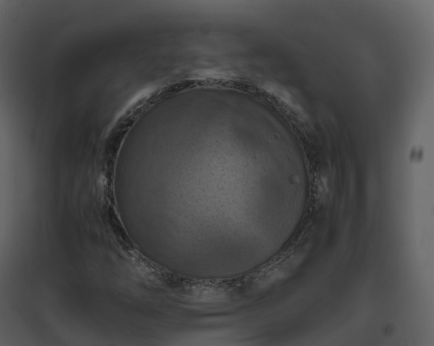 X0000096641254200802121102