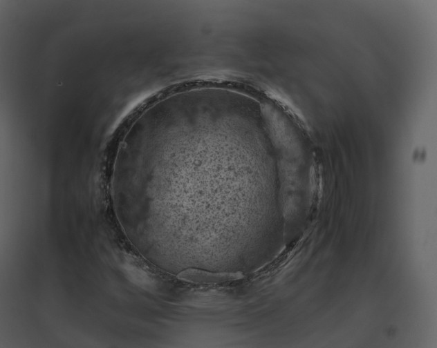 X0000096641256200802121102