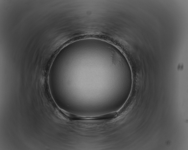 X0000096641257200802121102