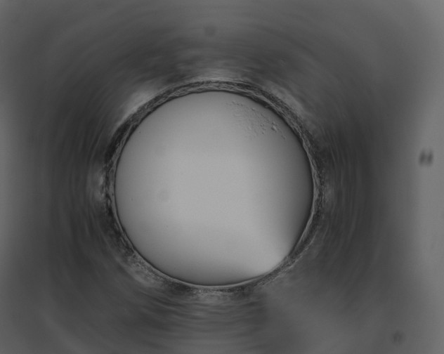X0000096641258200802121102