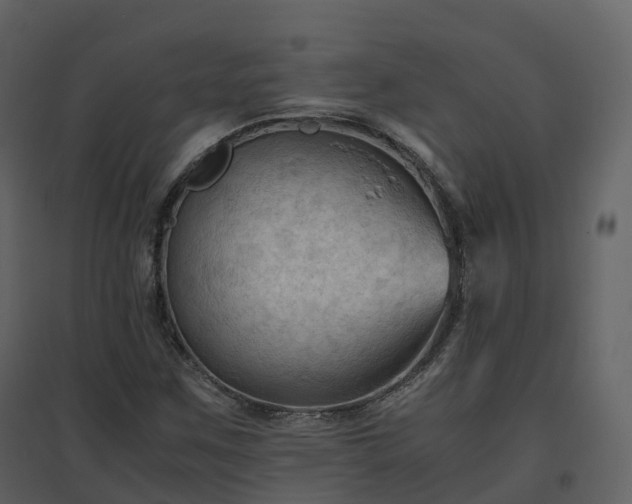 X0000096641259200802121102