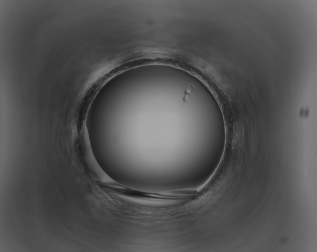 X0000096641261200802121102