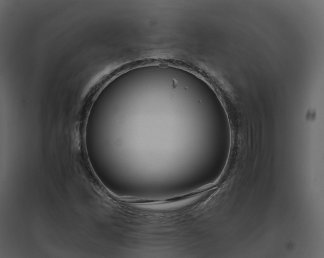 X0000096641262200802121102