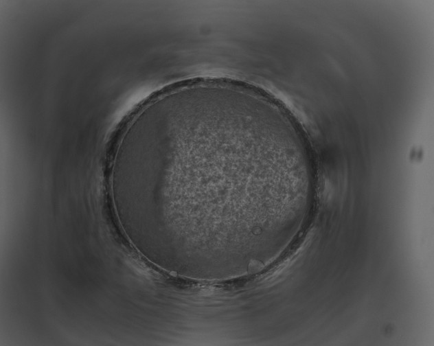 X0000096641263200802121101