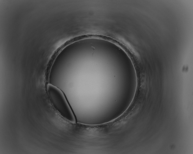 X0000096641264200802121101