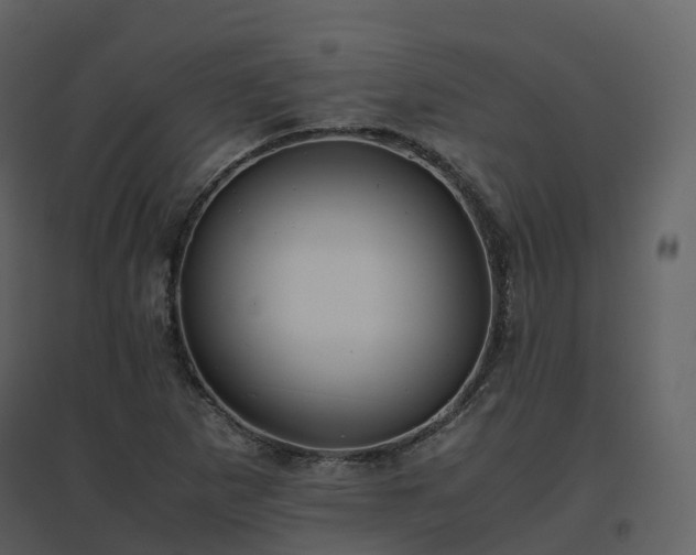 X0000096641265200802121101