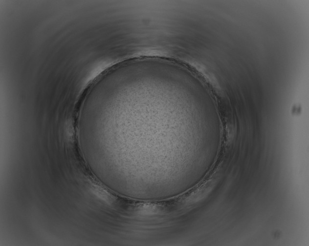 X0000096641266200802121101