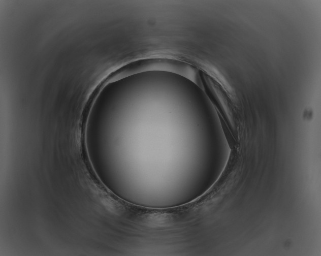 X0000096641268200802121101