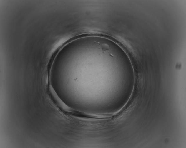 X0000096641269200802121101
