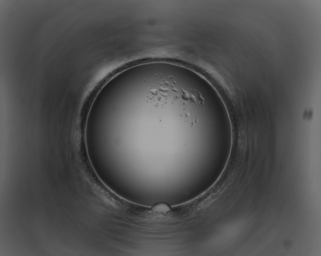 X0000096641270200802121101