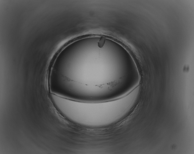 X0000096641272200802121101