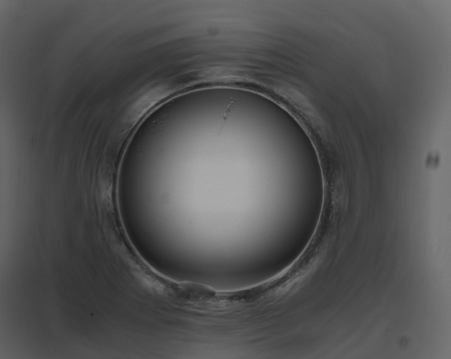 X0000096641273200802121101