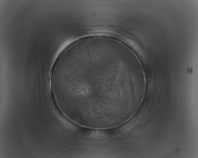 X0000096641275200802121101