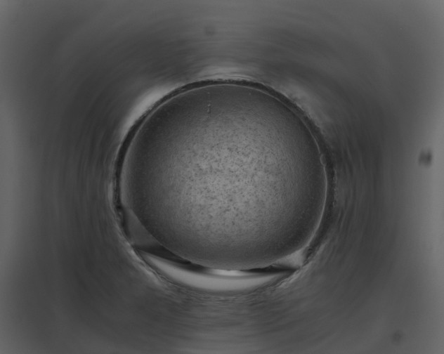 X0000096641277200802121101