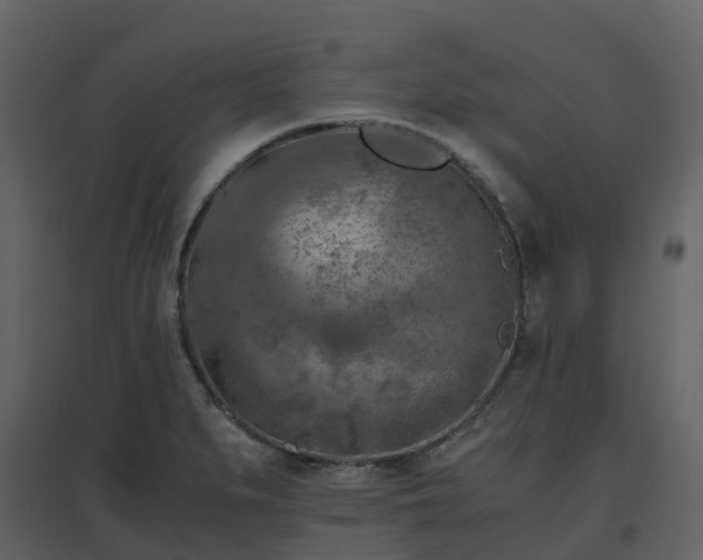 X0000096641279200802121101