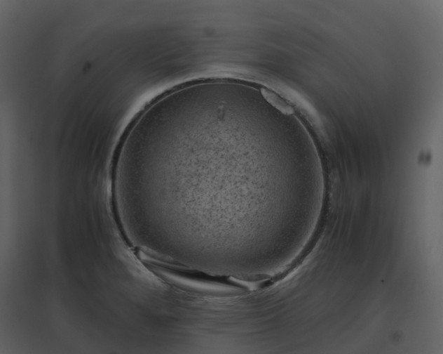 X0000096641280200802121101