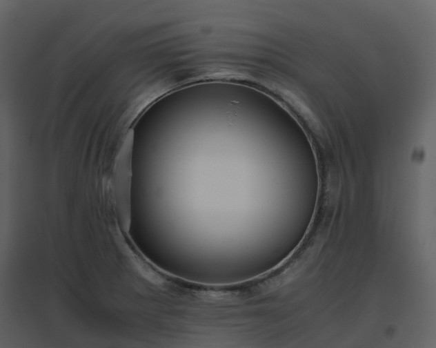 X0000096641281200802121101