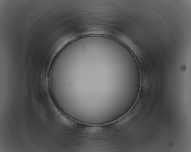 X0000096641282200802121101