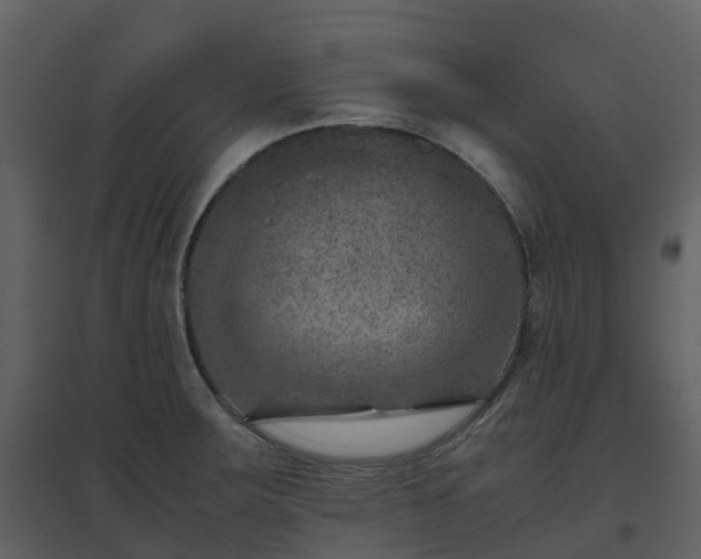 X0000096641283200802121101