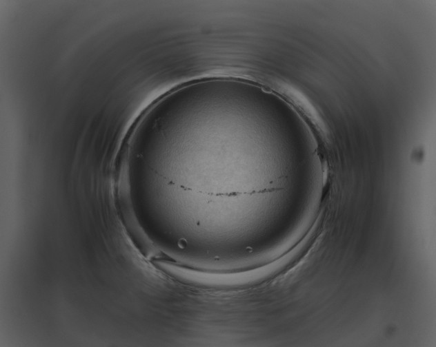 X0000096641284200802121101